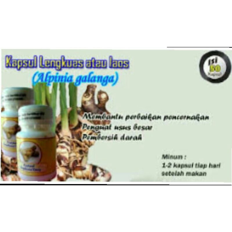 LENGKUAS/Laos Kapsul Herbal Alpinia Galanga Herbal Penurun Gula Darah Kolestrol