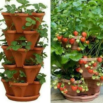 Pot Bunga Tanaman Susun 5 tingkat vertikal Gantung Green Leaf