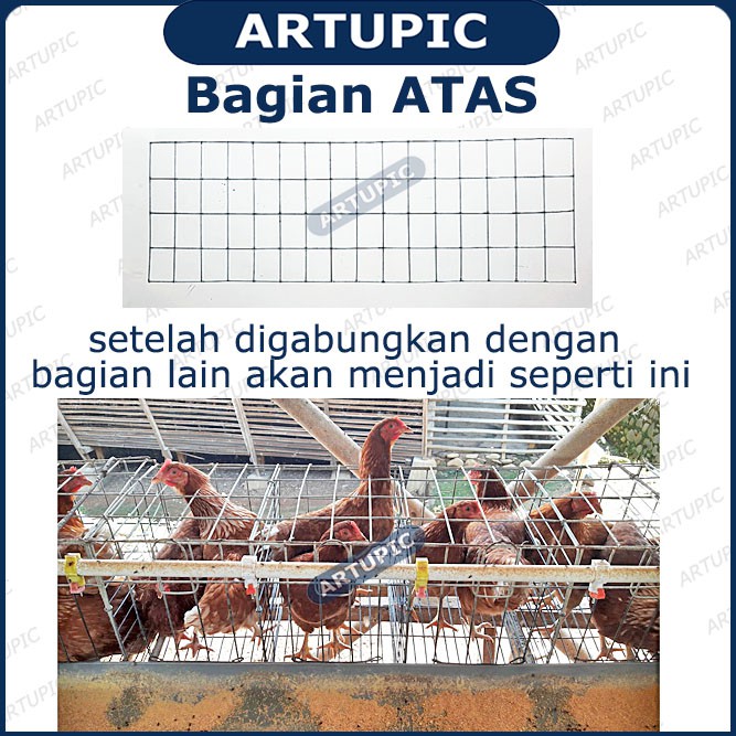 ATAS SAJA untuk Kandang Ayam Petelur ARTUPIC Baterai Kandang