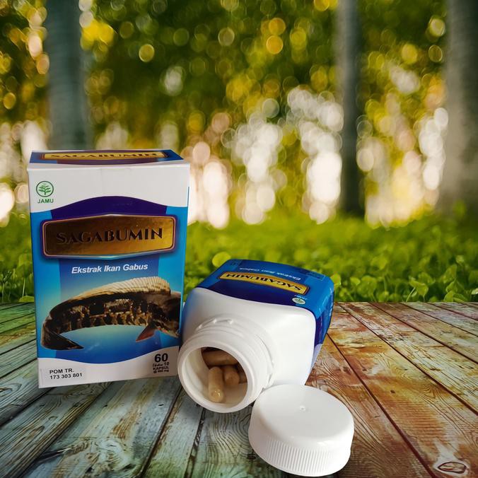 Kapsul Albumin Ekstrak ikan Gabus / Kutuk ( Protein ) Original