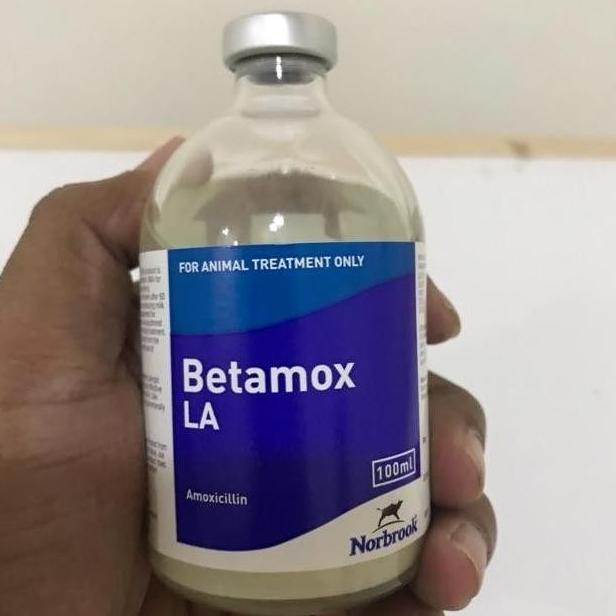 100ml BETAMOX LA obat INFEKSI PERCERNAAN Hewan Ternak Kambing Sapi