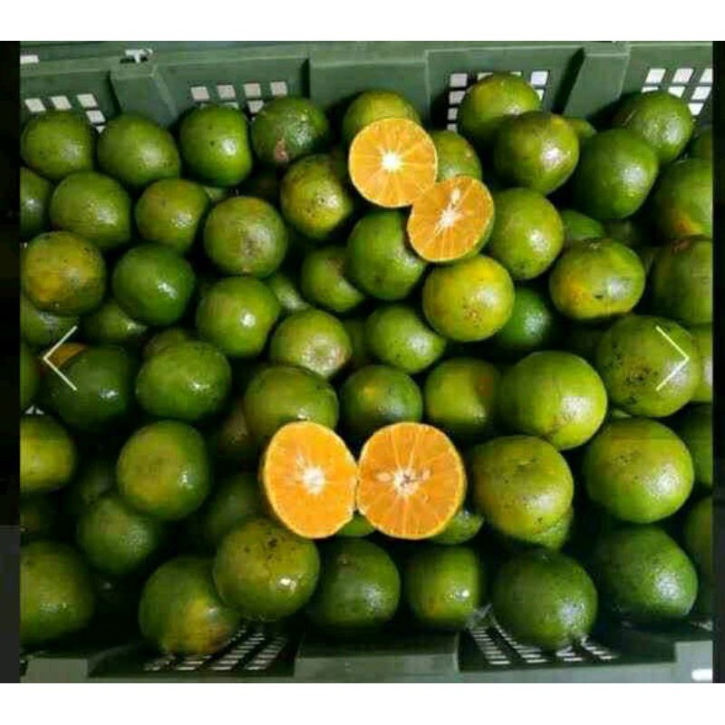 

Jeruk Siam Pontianak AB Manis Segar 1 Keranjang Fresh