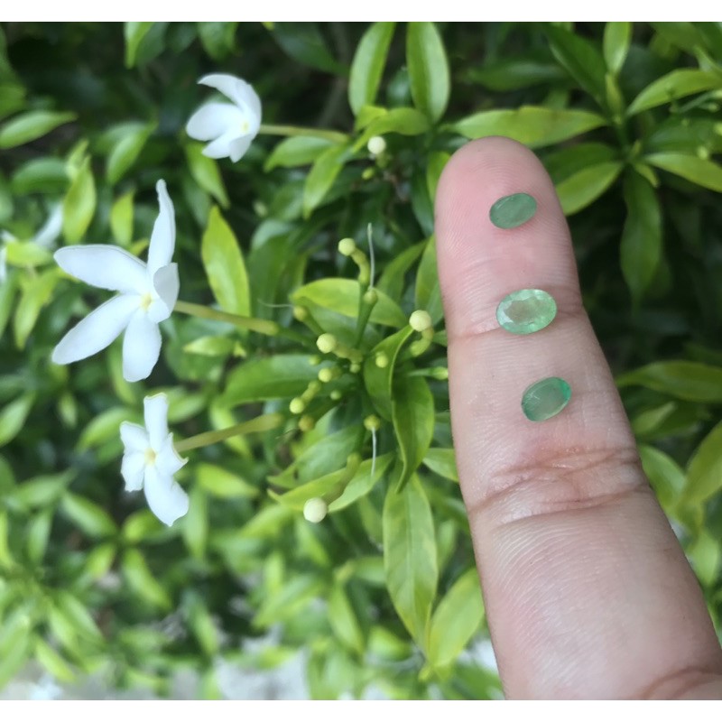 Natural emerald zamrud 3 pcs 1.6 ct