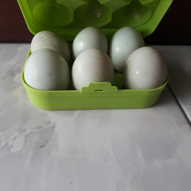 

Telur Asin Isi 6 pcs Siap Makan