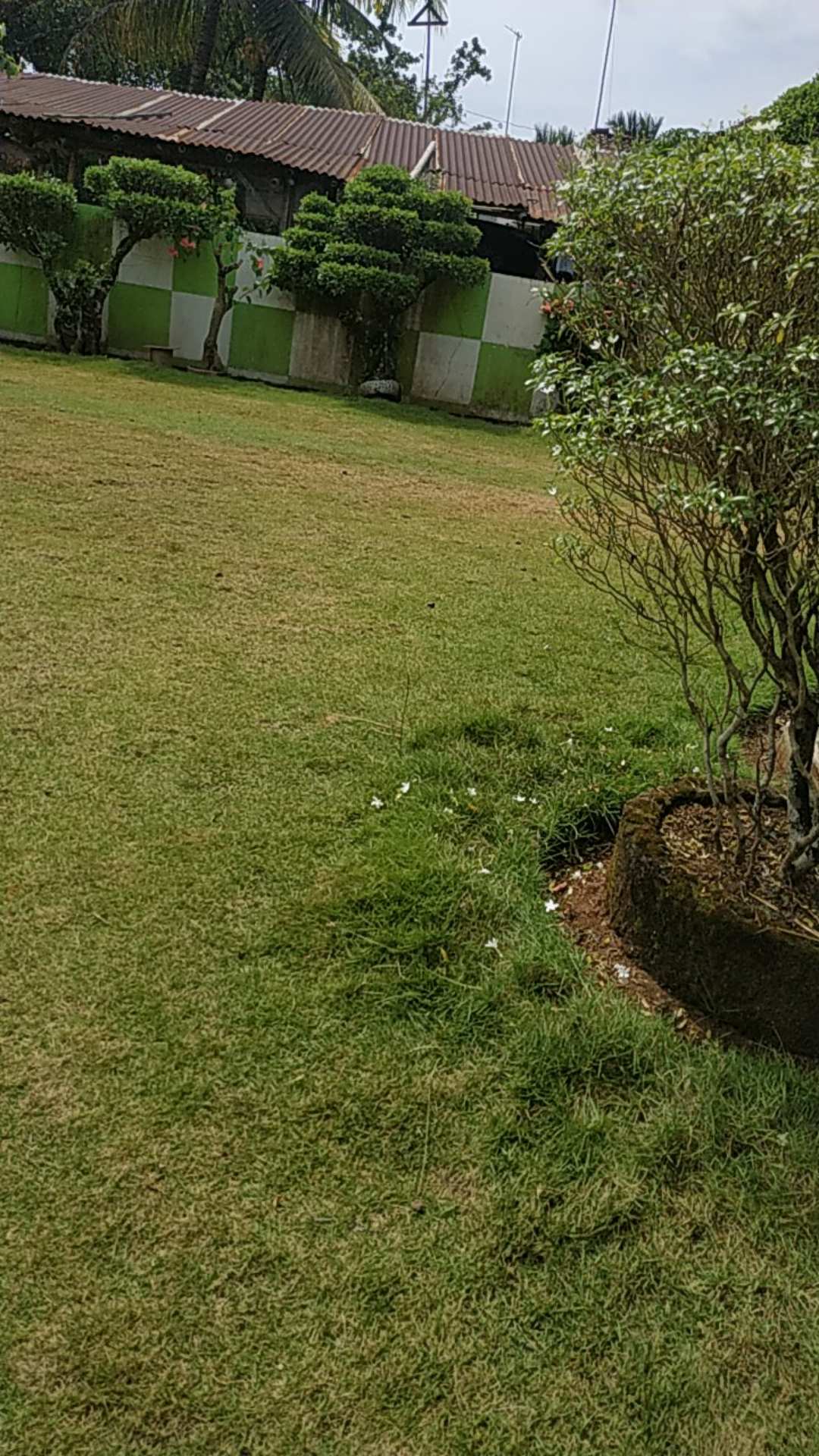 Benang Raja Tunik Batik Wanita Lengan Panjang Ukuran M L Xl