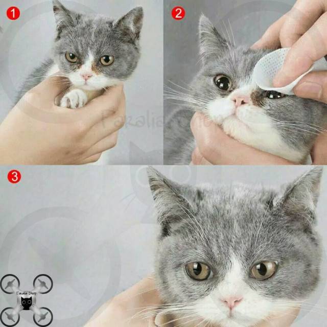 Tisu Basah Kucing Pembersih Noda Anjing Cat Dog Tear Mata Stain Remover