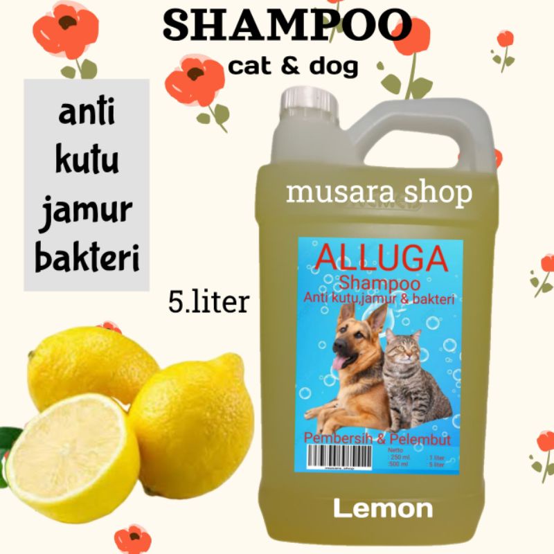 shampo anti kutu dan rontok kucing anjing lemon 5 liter