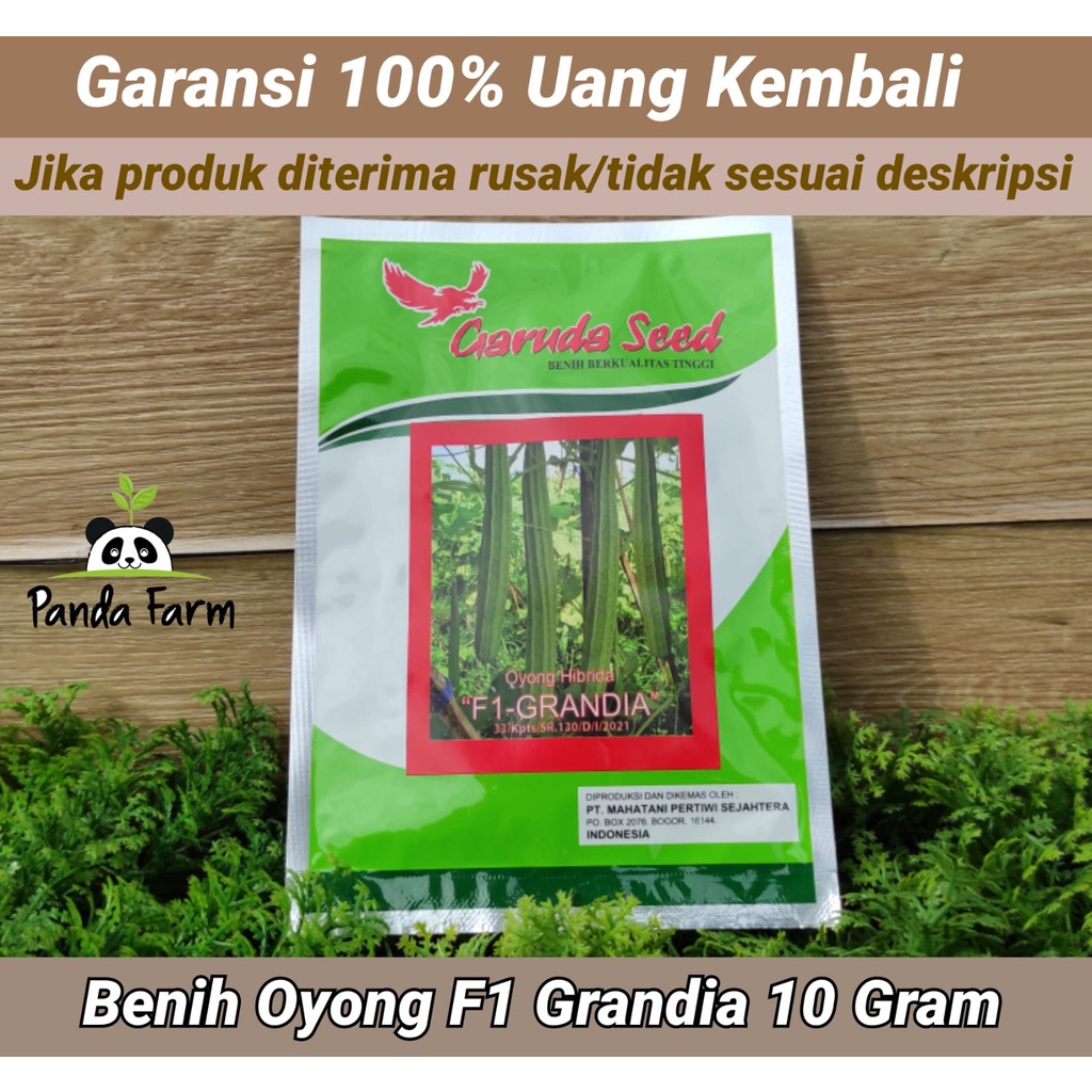 Benih/Bibit Oyong Hibrida F1 GRANDIA (Garuda Seed) - isi 10 gr