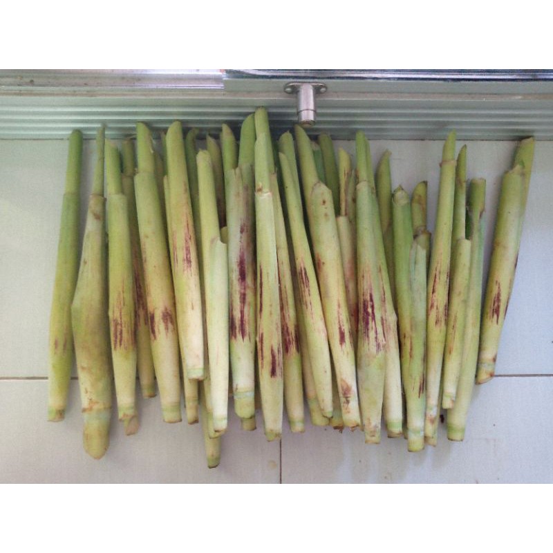 

terubuk/ tebu telor/ terubuk 1kg, paling murah, bisa cod