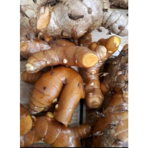 

Temulawak segar/ atemu lawak organik fresh/temulawak