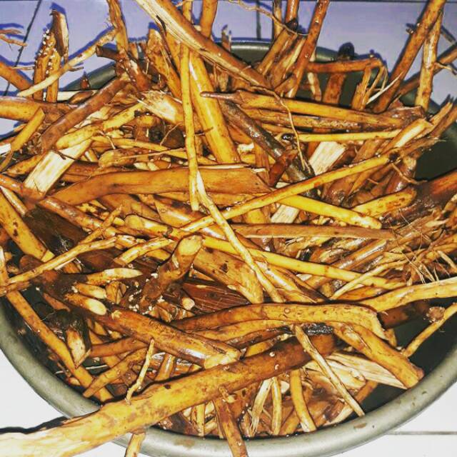 

Akar pinang segar 100gr