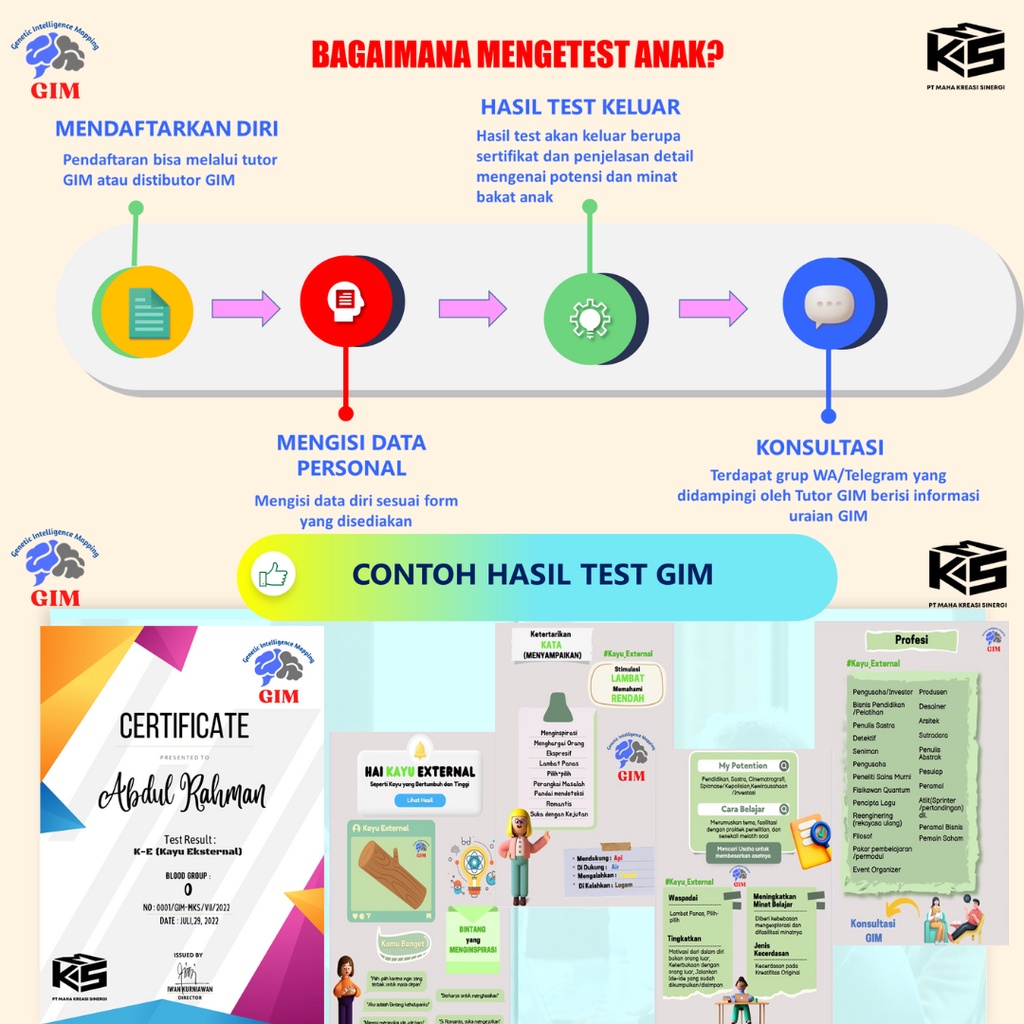 PAKET HEMAT Tes kecerdasan Genetika (Genetics Intellegentia Mapping) dan Gaya Belajar Anak