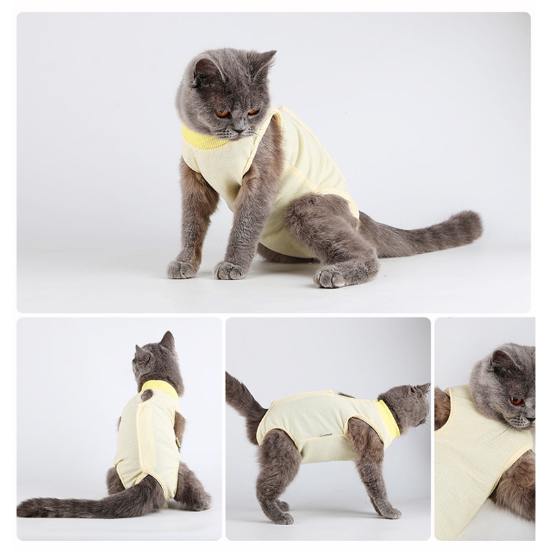 ★〓YUFeiPet〓★ Elizabeth Series Kitty Weaning Sterilization After Surgery of Cat Clothes