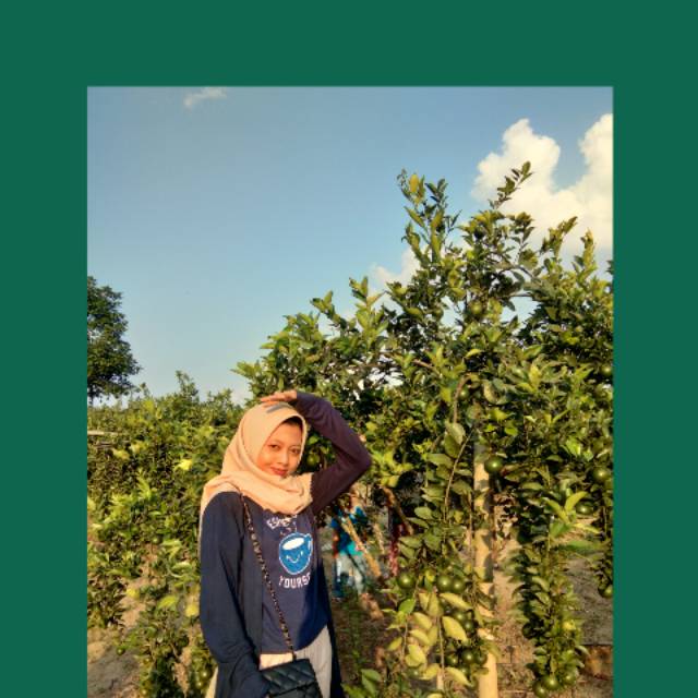 nurulmeisita82