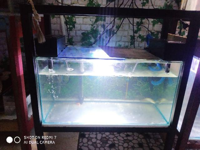  RAK  BESI AQUARIUM  2  SUSUN  HOLLOW GALVANIS 60X30X73 CM KAKI 