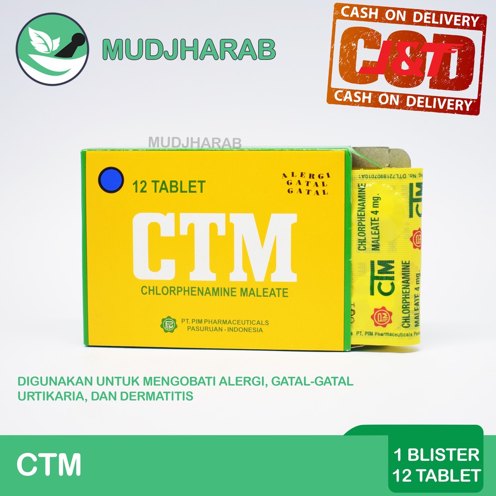 CTM OBAT ALERGI 12 TABLET