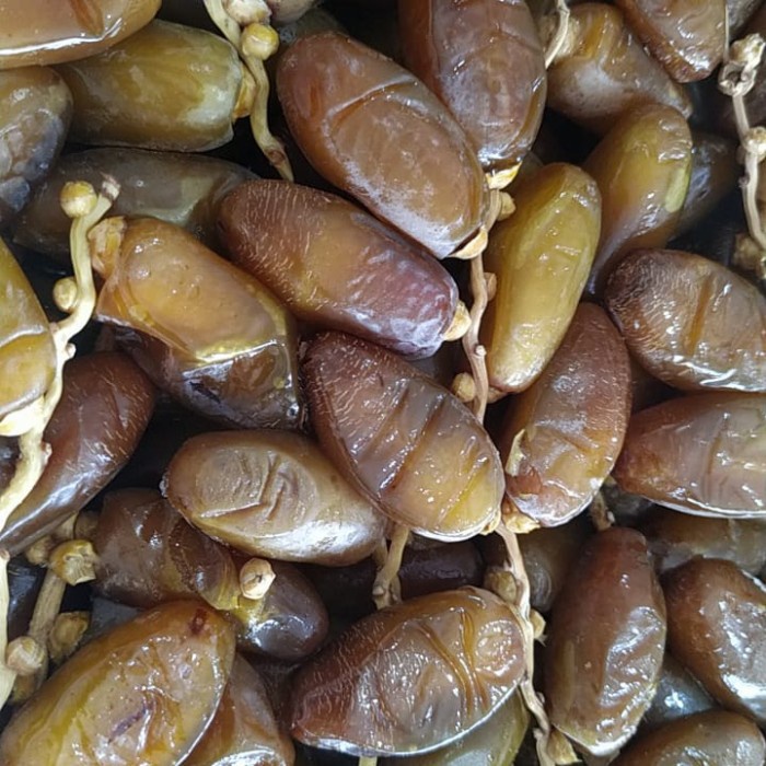 

Kurma Terbaru - Kurma Ruthob Libya Fresh Basah 2Kg Tangkai Grosir Dus Impor Sukhari
