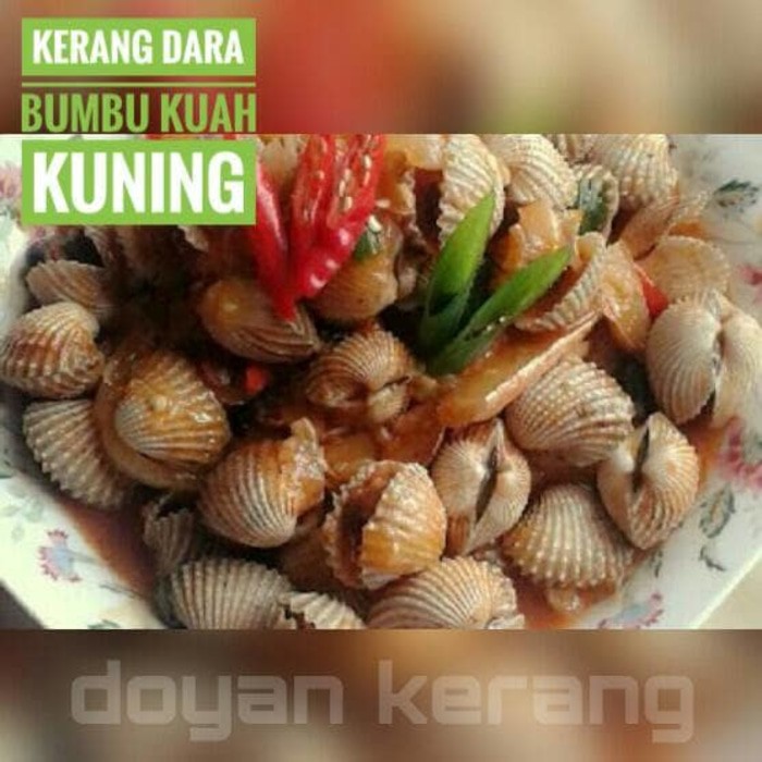 Kerang Dara Bumbu Kuning Kerang Kiloan Shopee Indonesia