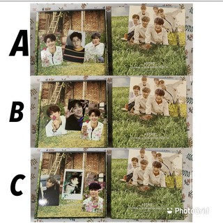 preloved american cocker spaniel