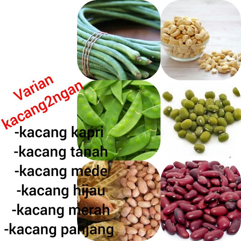 

kacang kapri sayur,manis//import, kacang panjang