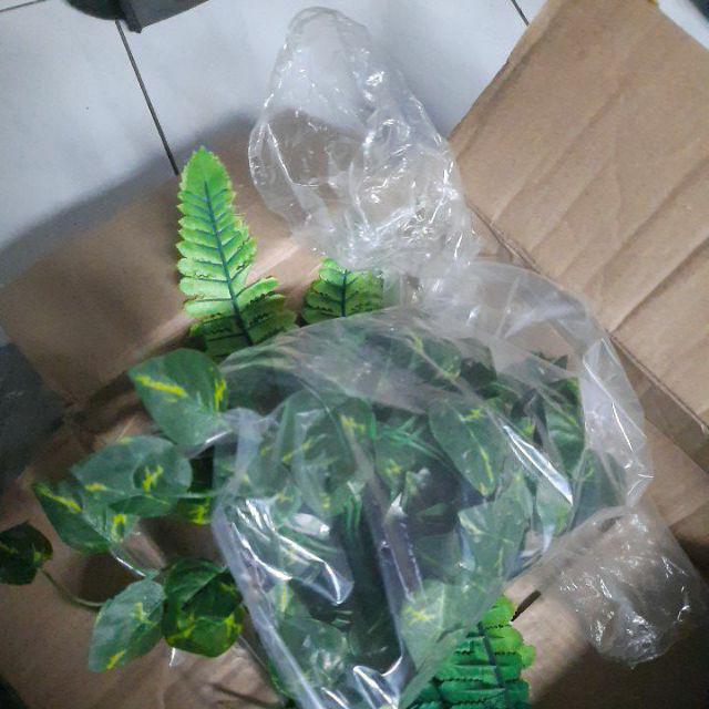 Daun Rambat Sri Gading 2m Dekorasi Home
