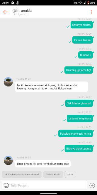 Bibit Tanaman Buah Black Sapotte/ Black Sapote/ Bibit Black Sapote Murah