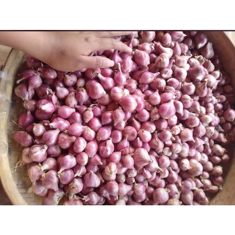 

Bawang Merah