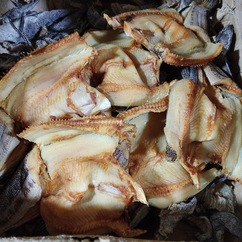 

GABUS TANGGUNG 250gr-500gr