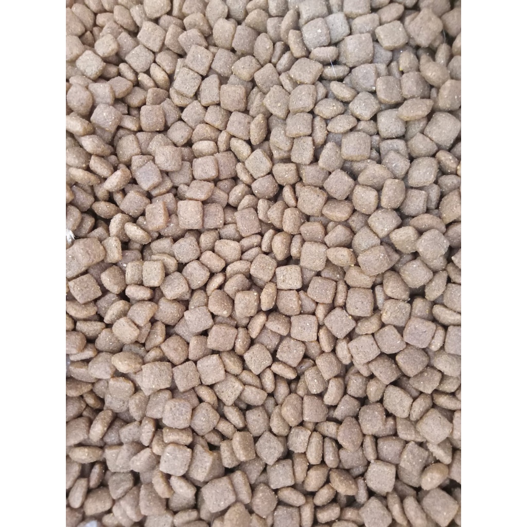Ori Cat Adult 1 kg/Makanan Kucing Khusus dewasa 1kg