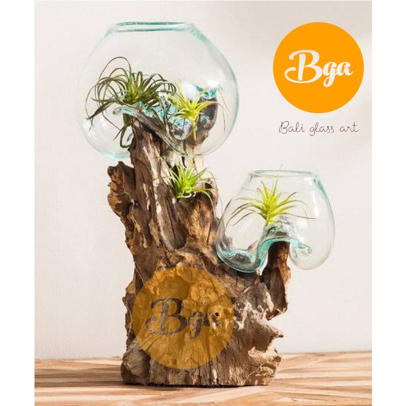 dobel kaca tiup vas bunga kaca aquascape aquarium akar ikan cupang kaca vas bunga guci kaca ganda