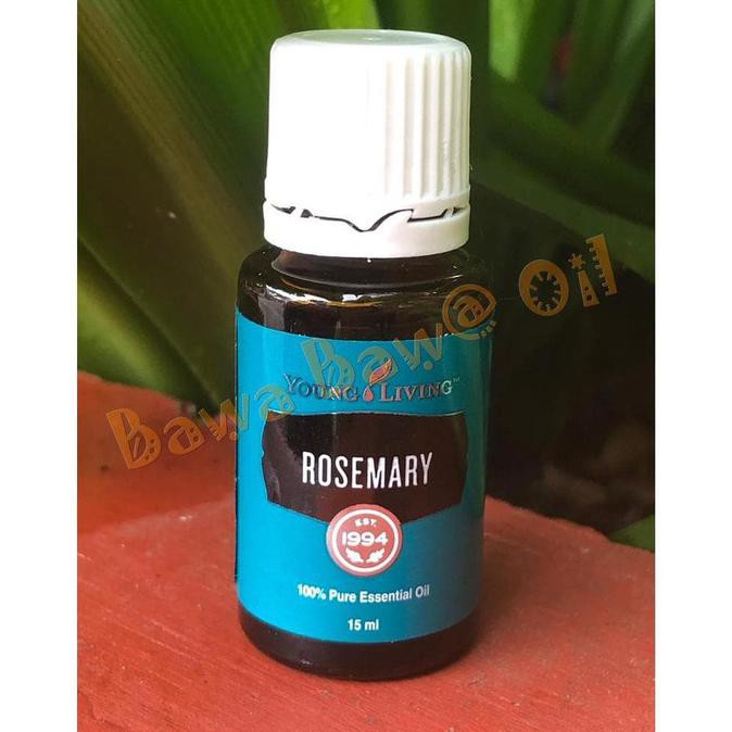 Young Living Essential Oil Rosemary Dewisartikahh