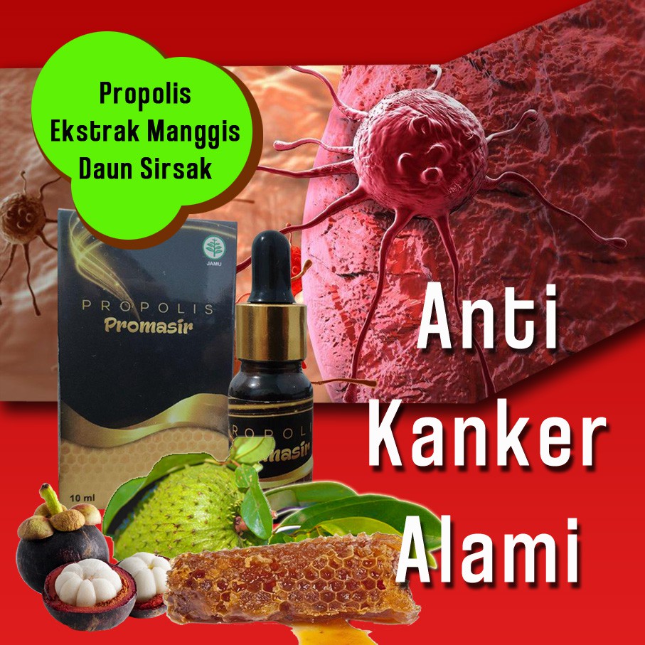 

AMPUH Promasir Propolis Murni Solusi bronchitis Aman