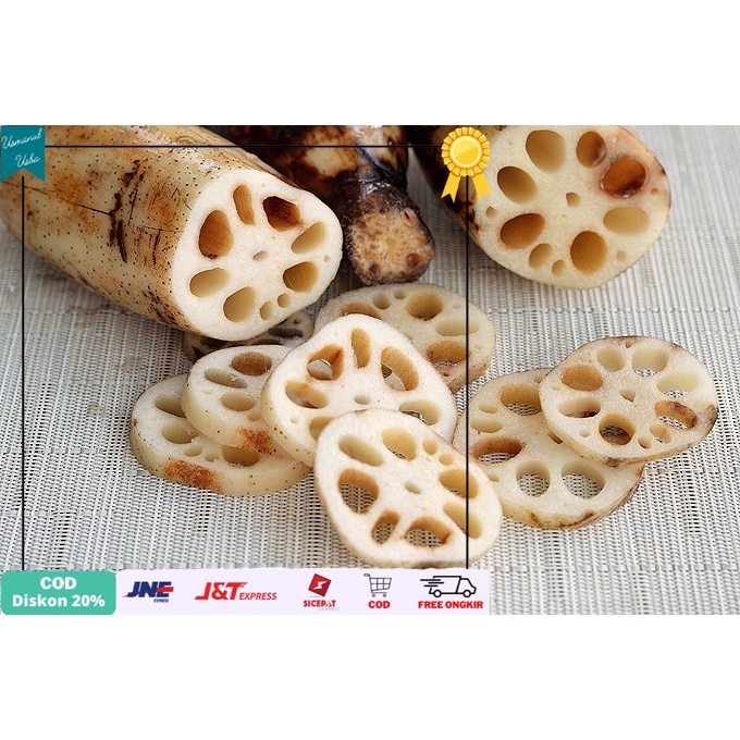 

◾COD◾ Akar Teratai / Lotus Root
