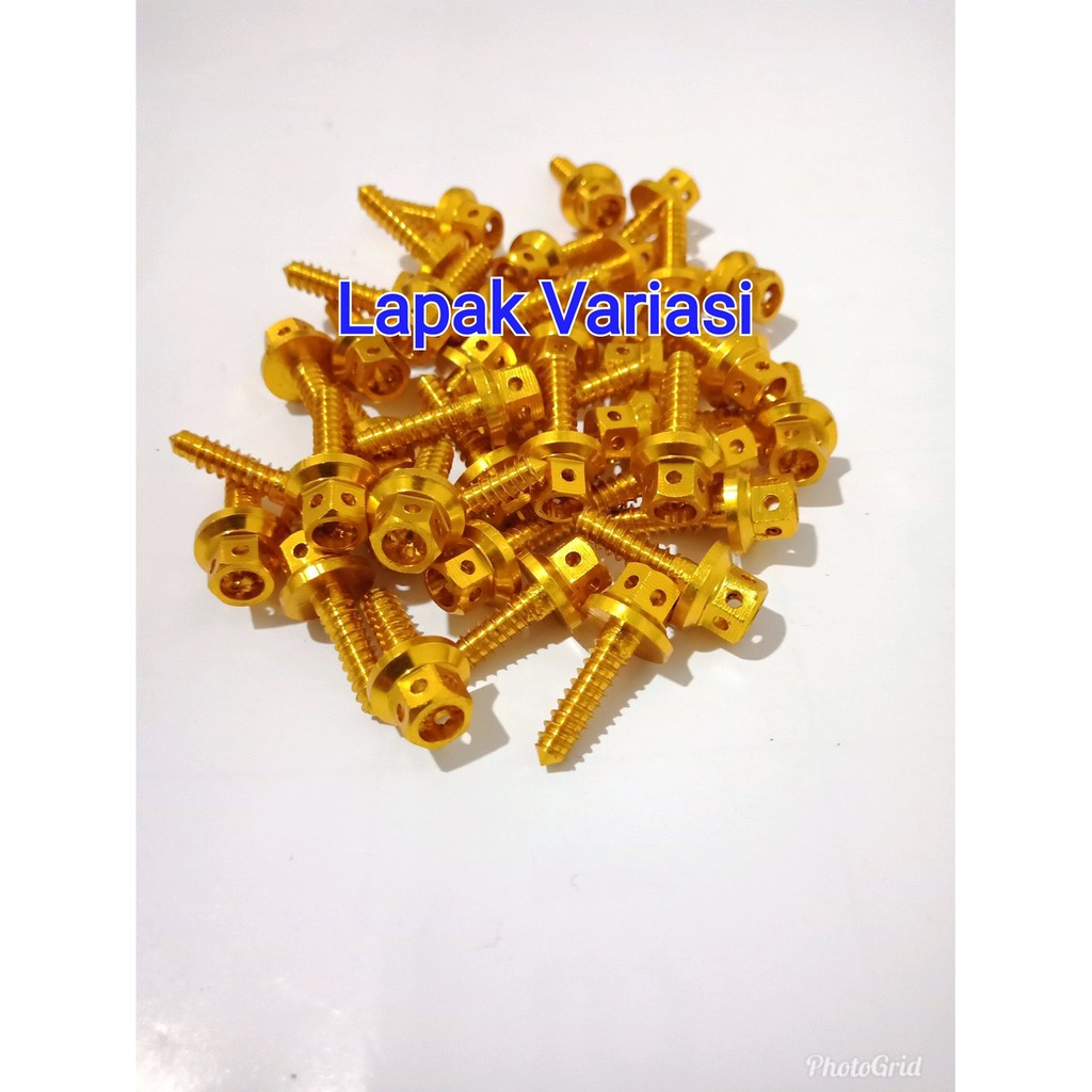 [Terlaris] Baut Filter Probolt Honda Yamaha Cnc 1biji Berkualitas