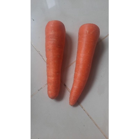 

Wortel Impor Brastagi Pasar surga kebutuhanku murah