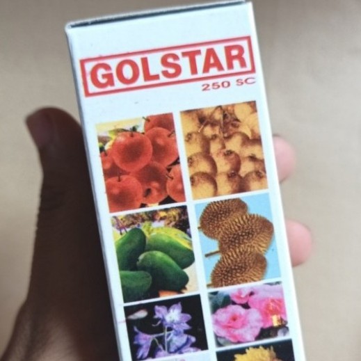 PUPUK GOLSTAR 30ML