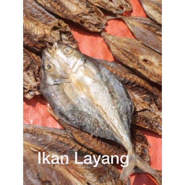 

IkanLayang