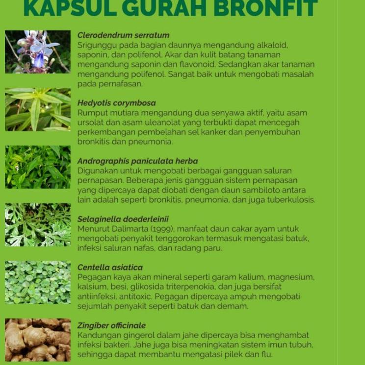 [KODE LPSE9] Kapsul gurah Naturafit Original