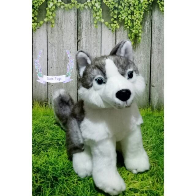 Boneka Anjing Husky Lucu Shopee Indonesia