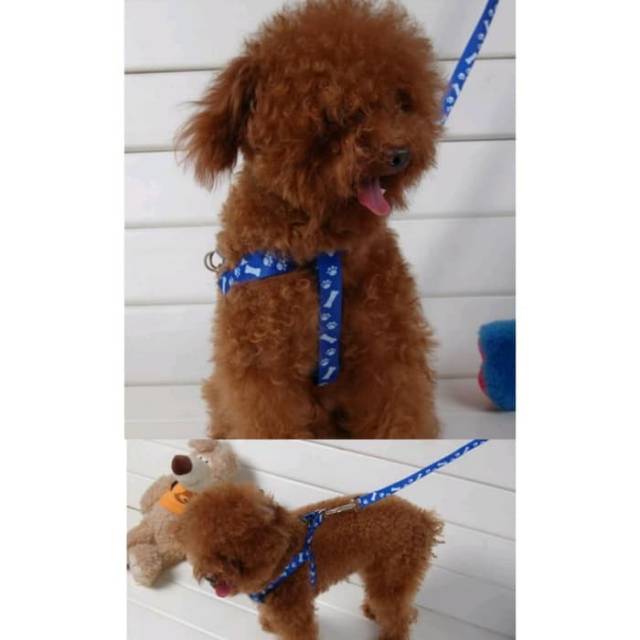 Harness pet anjing kucing kelinci murah leash tali rompi dog cat hewan motif paws tulang