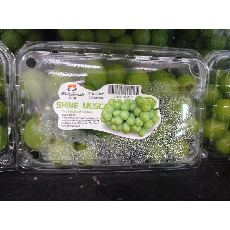 

Anggur Green Shine Muscat manis tanpa biji 500 gr