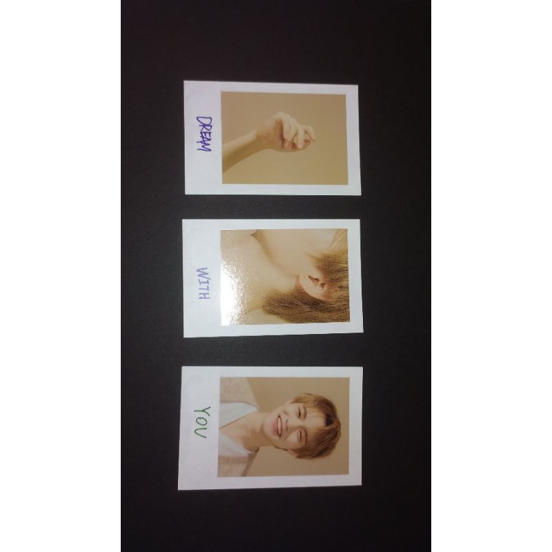 Pola Chenle Jisung SG20