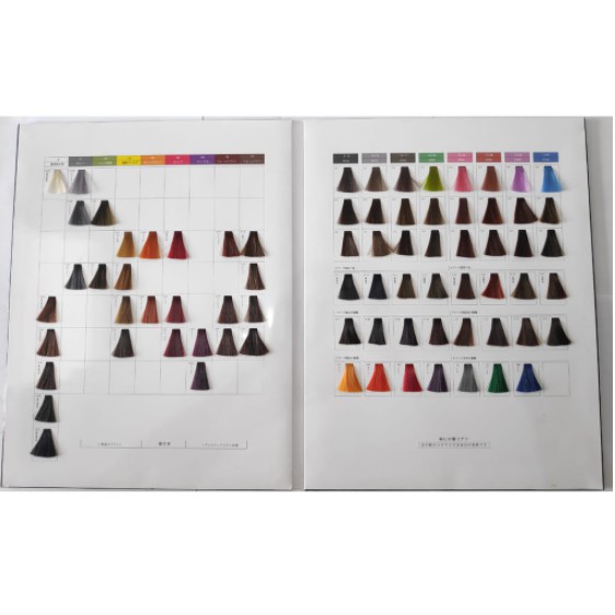 

{COD OK} BUKU KATALOG WARNA CHAOBEN / HAIR COLOR CHART 76 WARNA