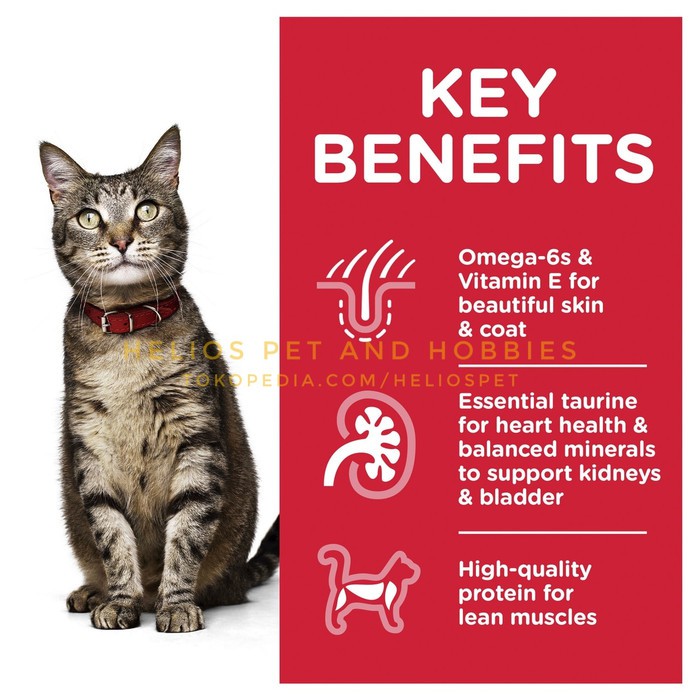 Makanan Kucing Science Diet Cat 9 kg Adult 1-6 th Optimal Care 9.07kg