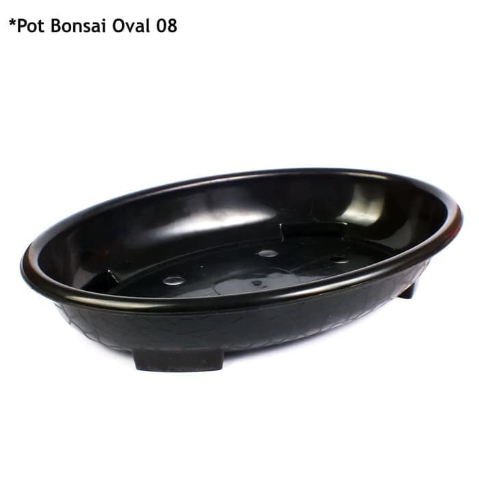  Pot  Bonsai  Oval Plastik  Hitam 08 Shopee  Indonesia