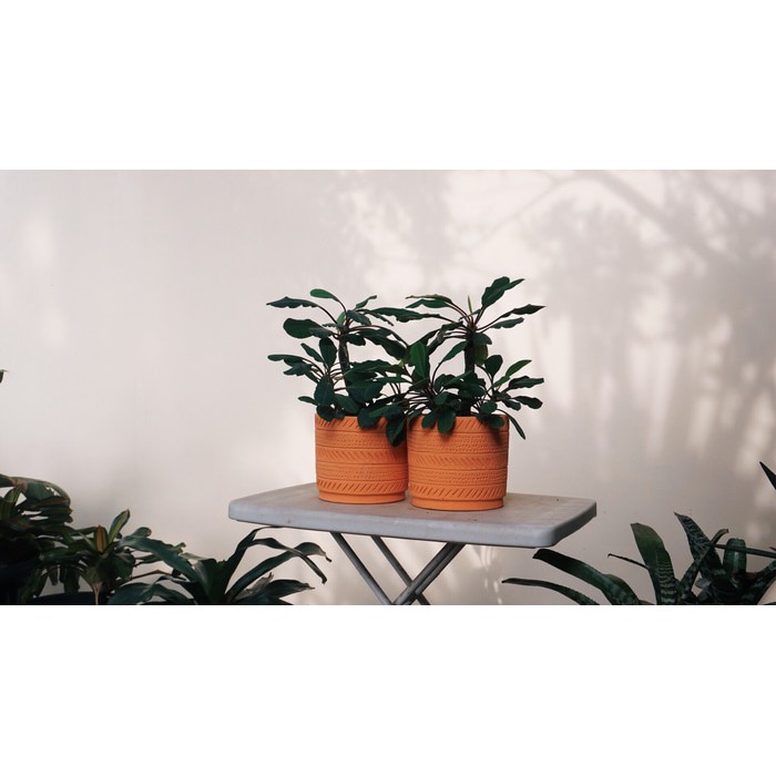 Pot tanah liat clay unik