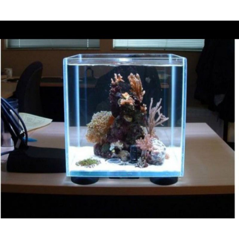 Aquarium ikan hias aquarium aquascape tank aquarium kotak nano 20x20x20 tanpa hiasan