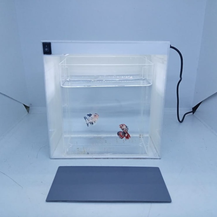 Cupang Photo Box, Tempat foto cupang, Soliter Cupang Serfie, Soliter Serfi, soliter ikan cupang