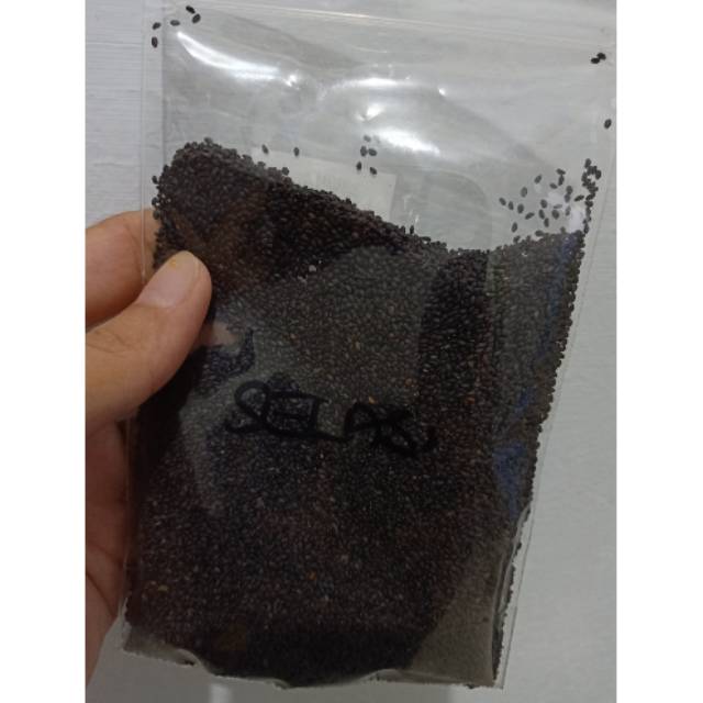 

BIJI SELASIH 90GRAM