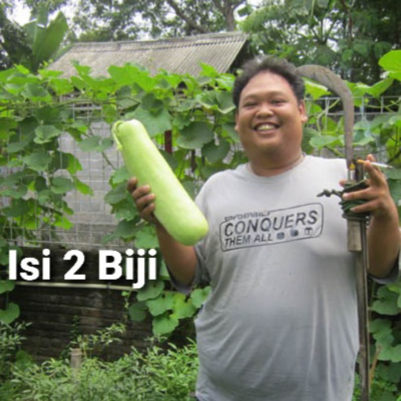 Benih Labu Air/Blonceng Eceran